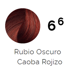 [40032074] TINTURA ISSUE SACHET 66 RUBIO OSC CAOBA ROJ