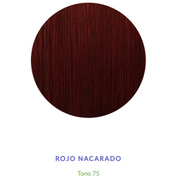 [40024850] TINTURA KIT 919 75 ROJO NACARADO