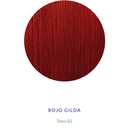 [40024854] TINTURA KIT 919 85 ROJO GILDA