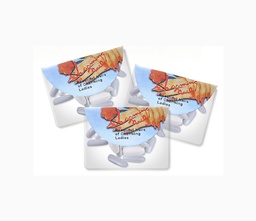 [ACH070077] UÑAS POSTIZAS